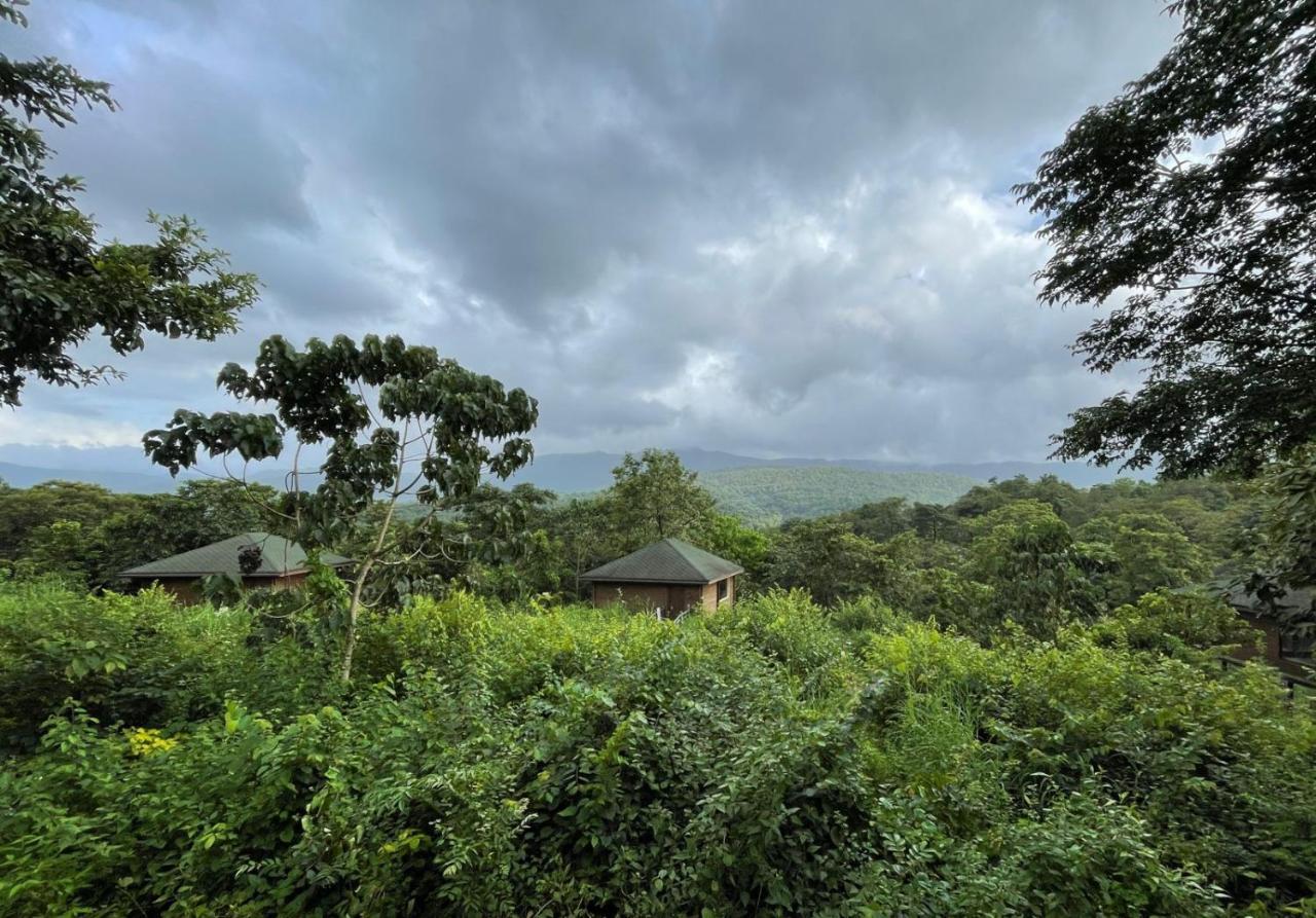 The Postcard Hideaway, Netravali Wildlife Sanctuary, Goa Otel Vichondrem Dış mekan fotoğraf