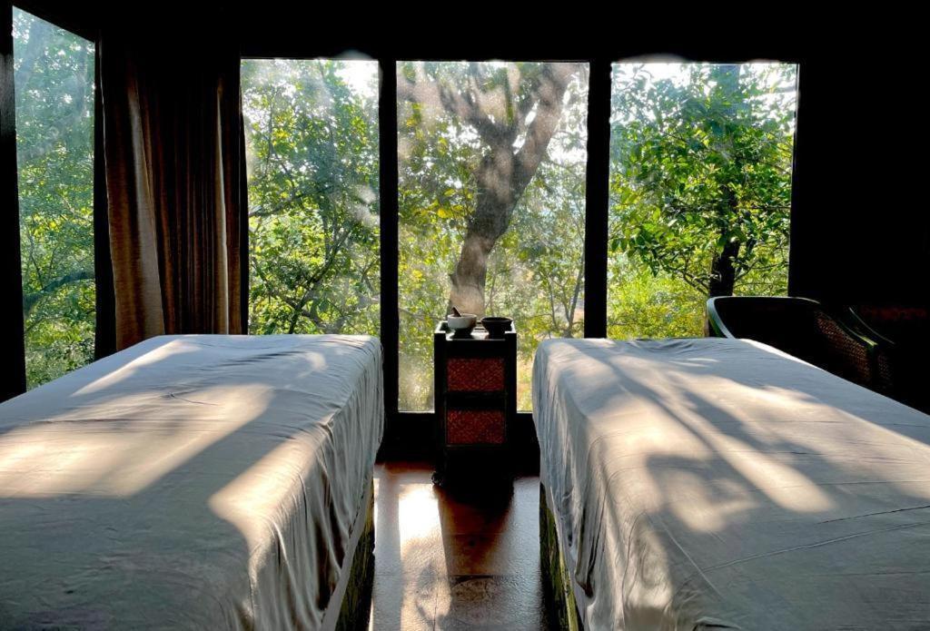 The Postcard Hideaway, Netravali Wildlife Sanctuary, Goa Otel Vichondrem Dış mekan fotoğraf