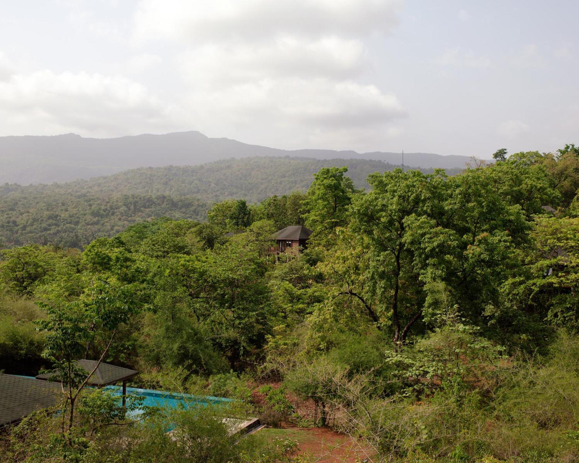 The Postcard Hideaway, Netravali Wildlife Sanctuary, Goa Otel Vichondrem Dış mekan fotoğraf